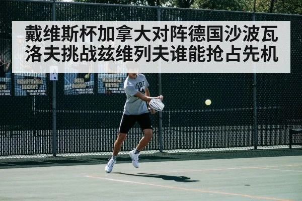 戴维斯杯加拿大对阵德国沙波瓦洛夫挑战兹维列夫谁能抢占先机 | Bwin